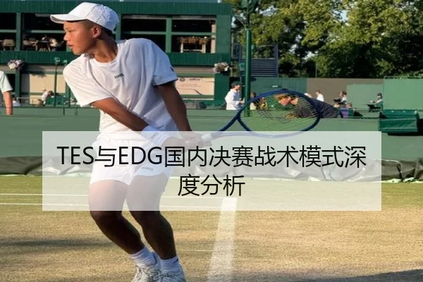 TES与EDG国内决赛战术模式深度分析